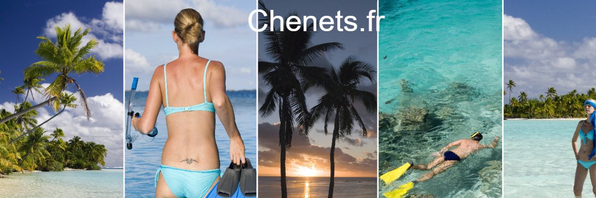 chenets.shwth.top